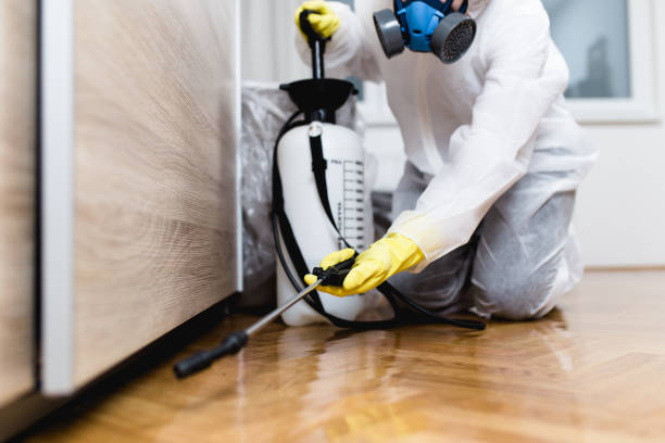 Best Best Pest Control Companies  in Hrison, AR