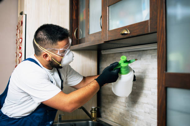 Best Bed Bug Extermination  in Hrison, AR