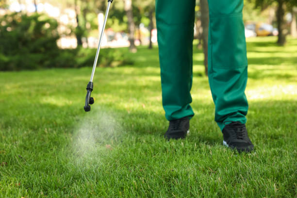 Best Exterminator Services  in Hrison, AR
