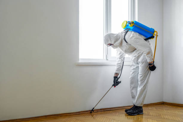 Best Pest Prevention Services  in Hrison, AR
