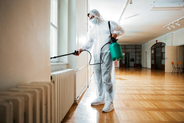 Best Pest Control Treatment  in Hrison, AR