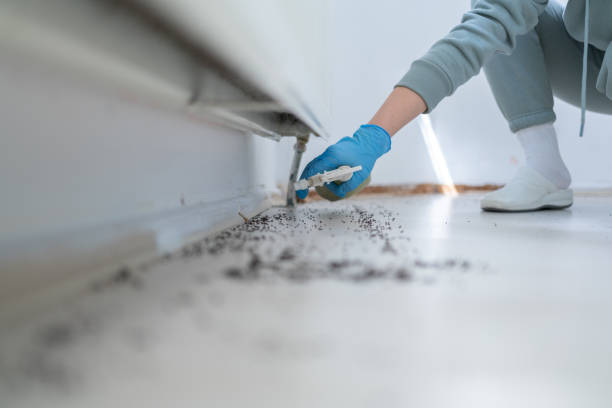 Best Best Pest Control Companies  in Hrison, AR